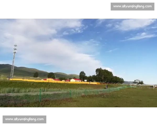 从街头少年到世界之巅传奇足球明星逆袭人生热血史诗梦想荣耀征途